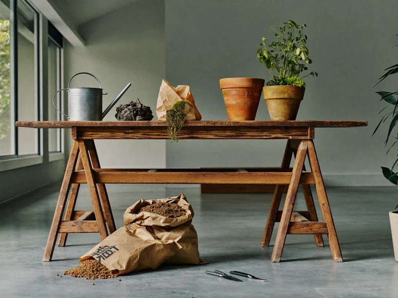 Banco di legno con annaffiatoio, vasi in argilla, terriccio, perlite e forbici da potatura
